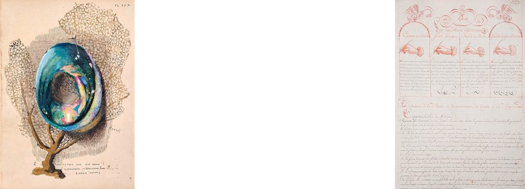 Salon international du Livre Rare