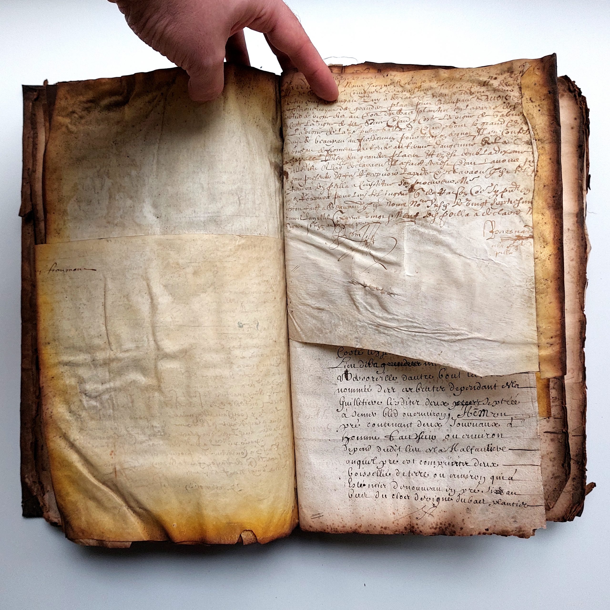 Terrier du fief des Places à Saint Martin de Beaupréau.