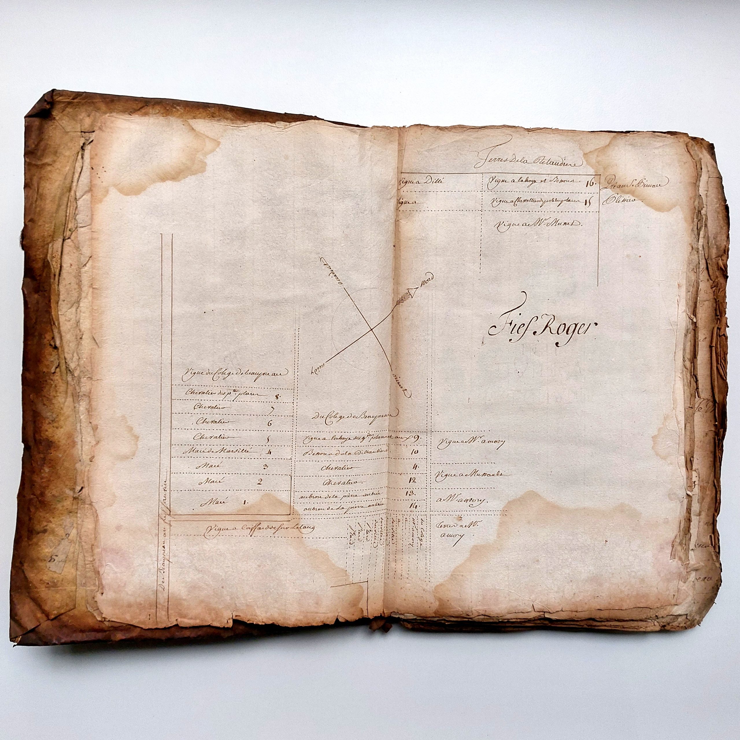 Terrier du fief des Places à Saint Martin de Beaupréau. – Image 13