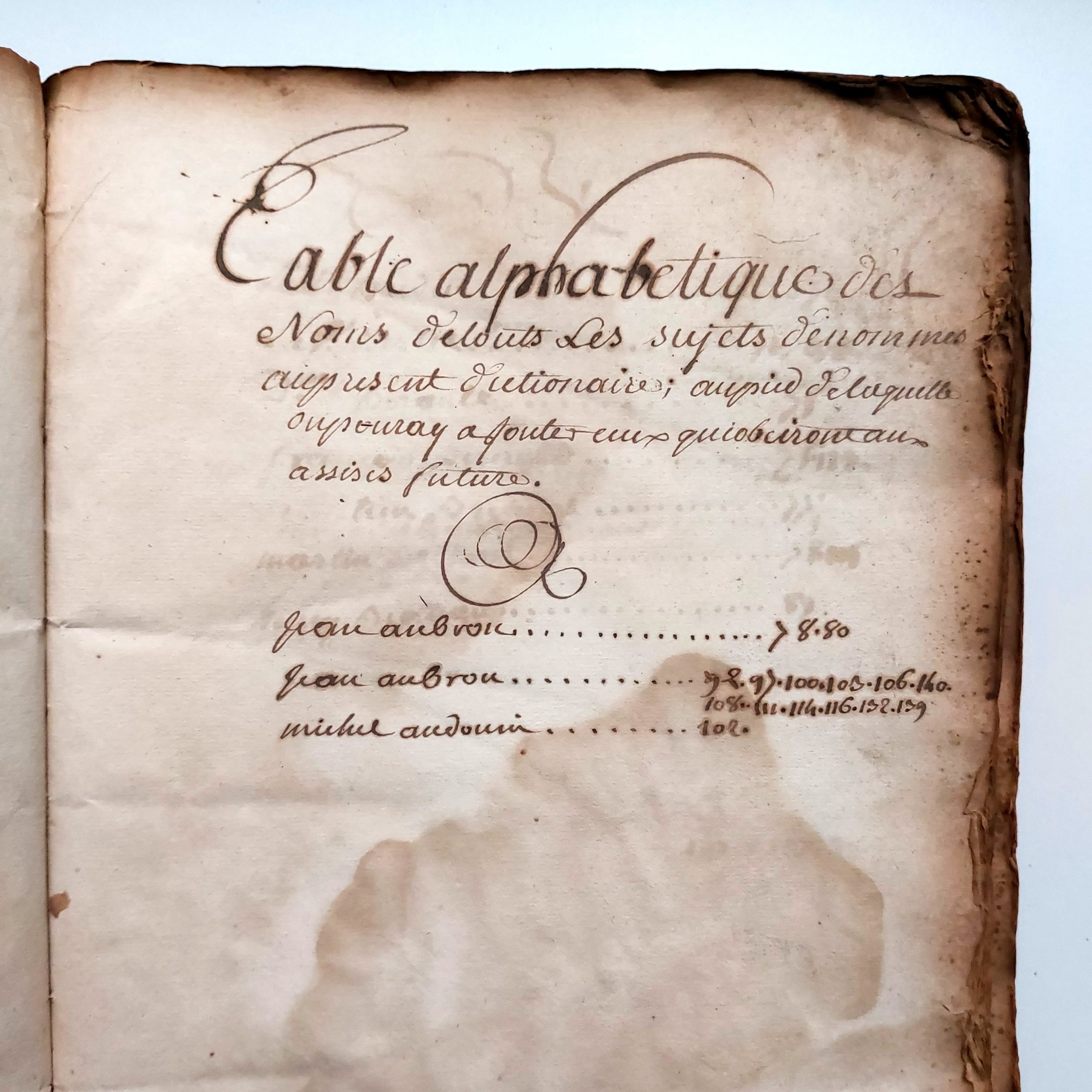 Terrier du fief des Places à Saint Martin de Beaupréau. – Image 23