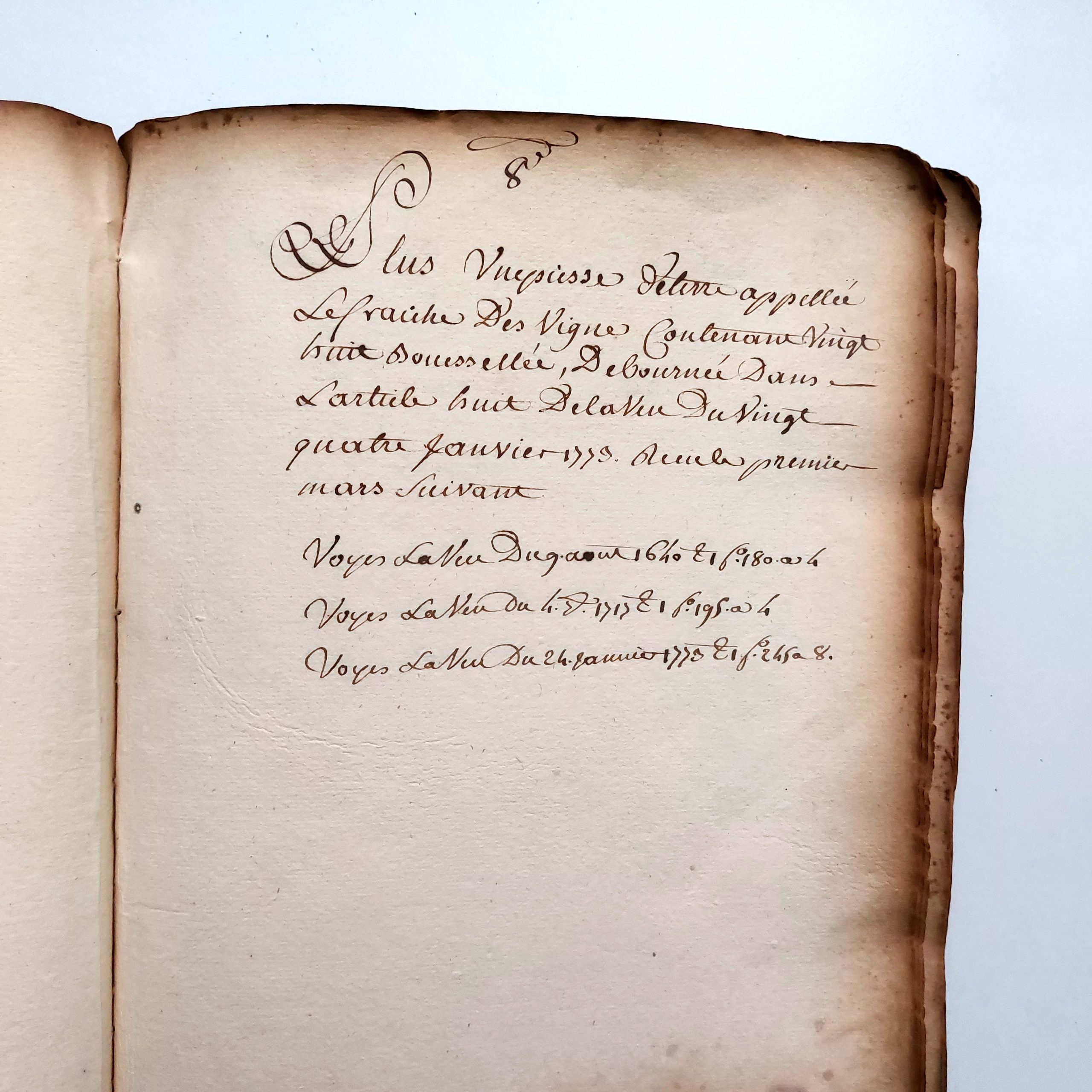 Terrier du fief des Places à Saint Martin de Beaupréau. – Image 25