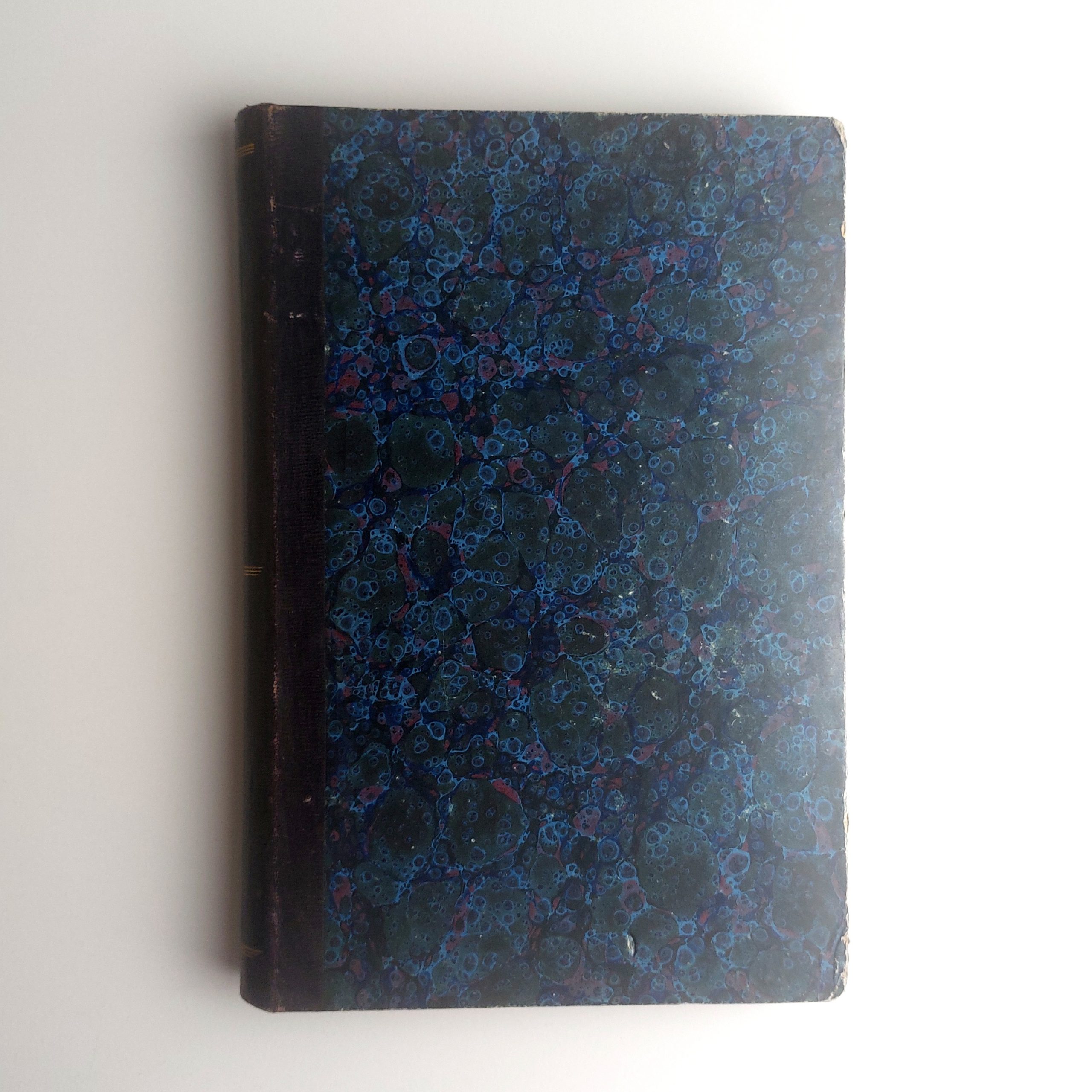 Journal manuscrit du voyage d’une jeune fille de bonne société en Italie. – Image 10