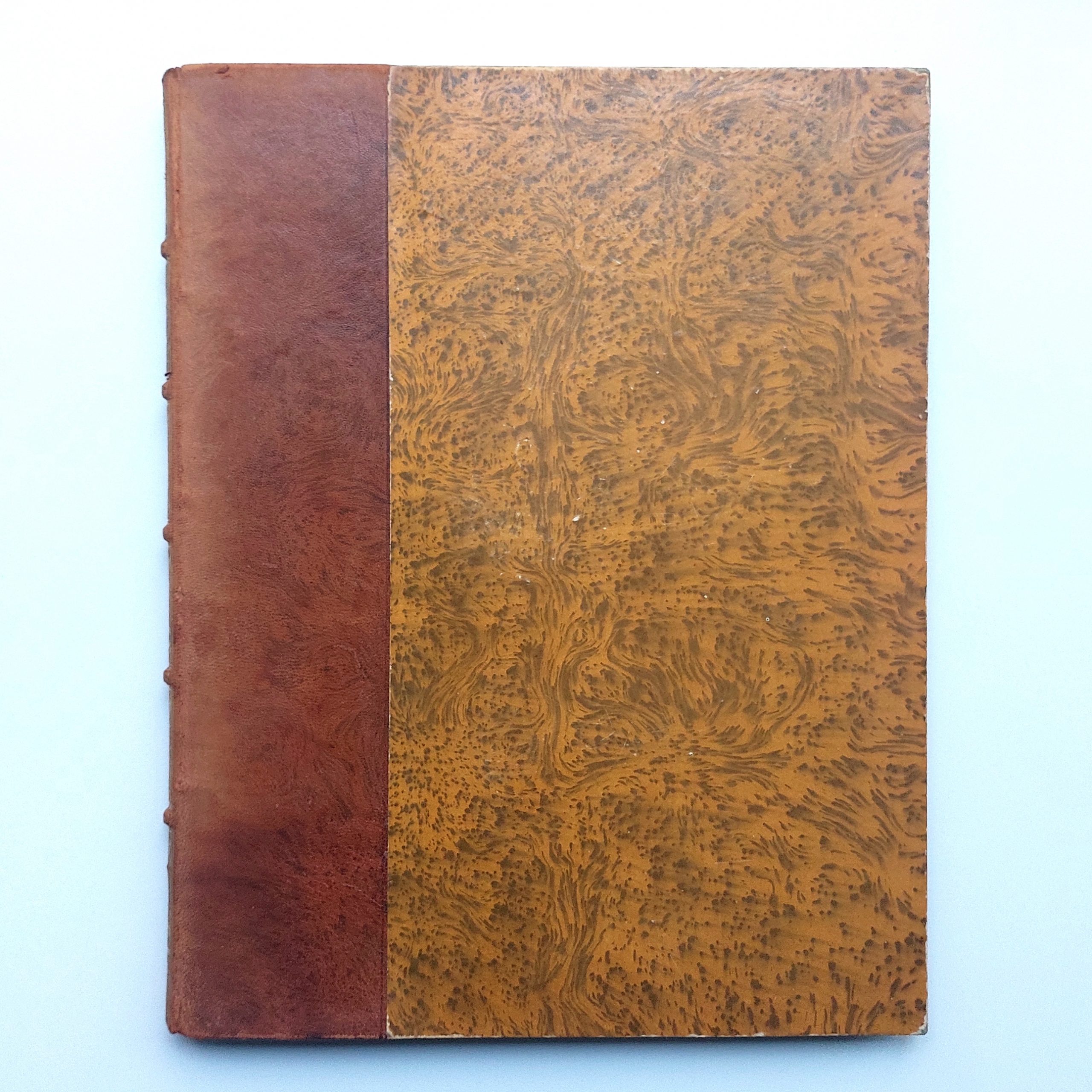 Caractères et Alphabets de Langues mortes et vivantes. – Image 10