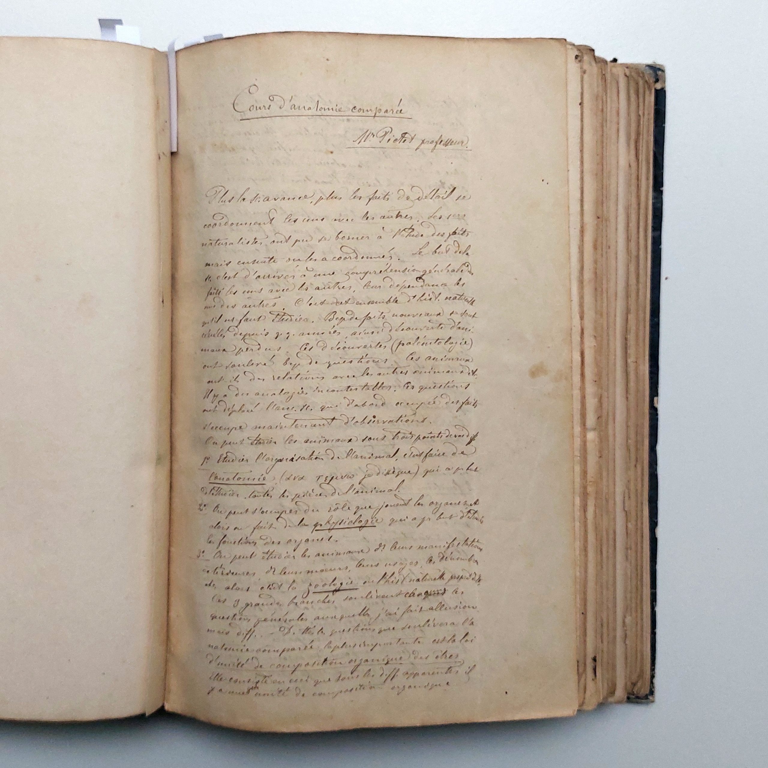 Recueil manuscrit de cours dispensés par d'éminents professeurs de l'Académie de Genève. – Image 12