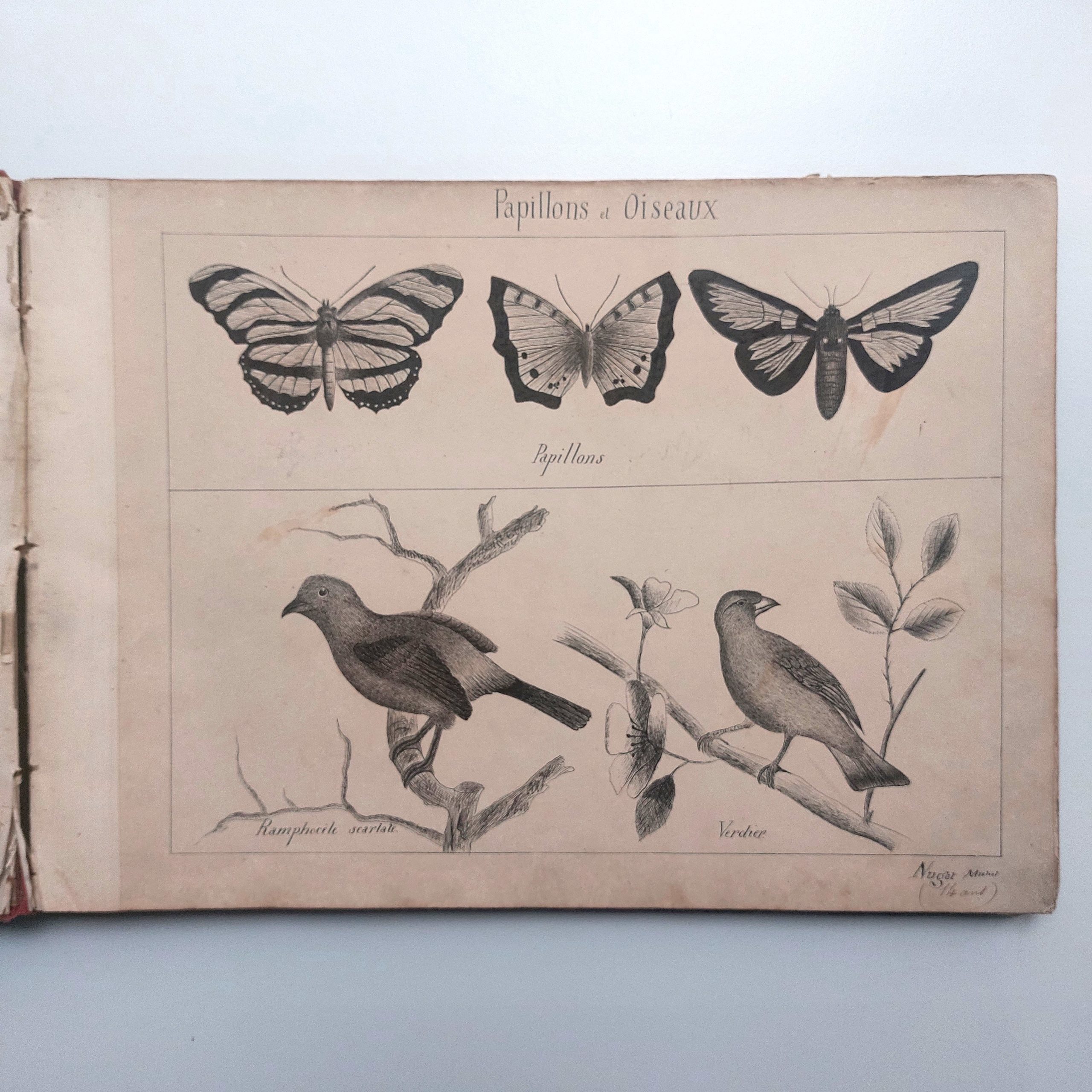 Recueil de dessins d'enfants de forgerons à Commentry. – Image 3