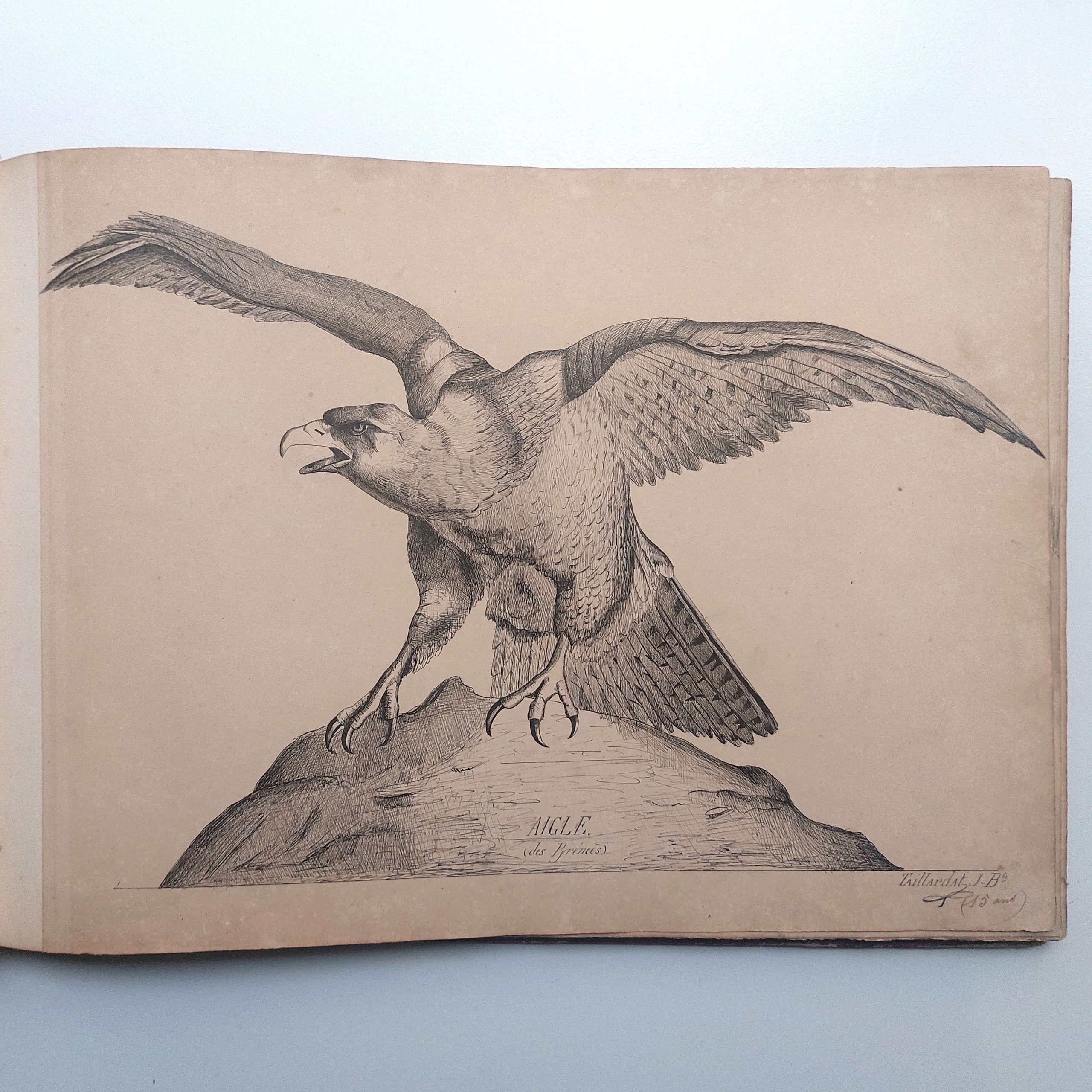 Recueil de dessins d'enfants de forgerons à Commentry. – Image 11