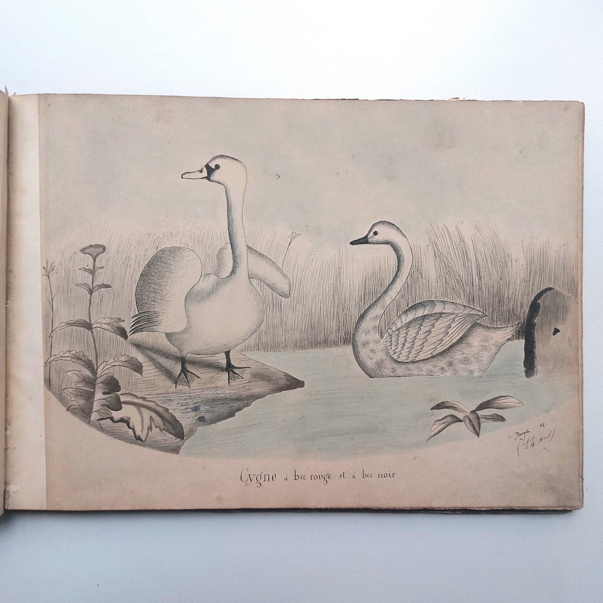 Recueil de dessins d'enfants de forgerons à Commentry. – Image 12