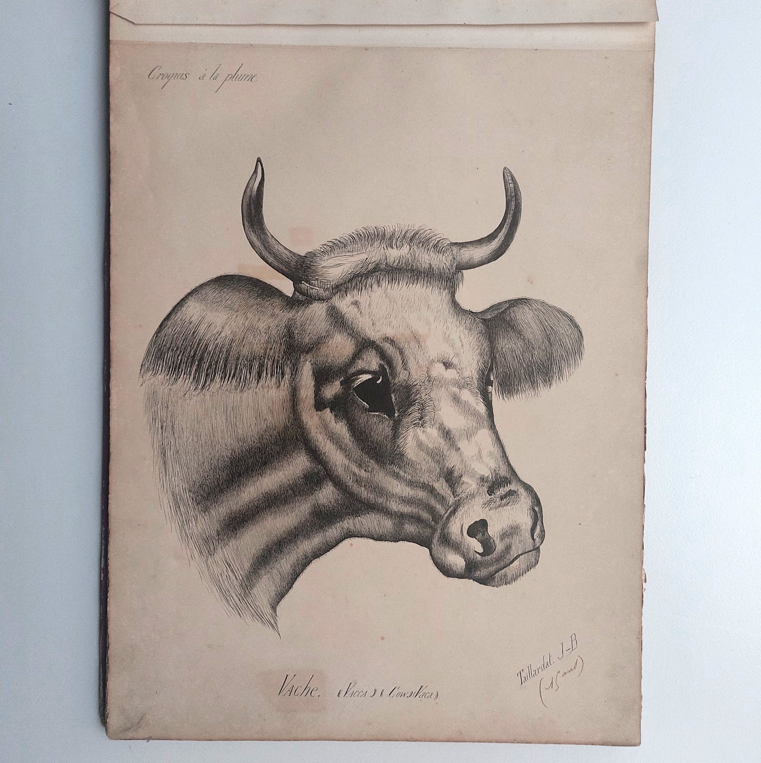 Recueil de dessins d'enfants de forgerons à Commentry. – Image 13