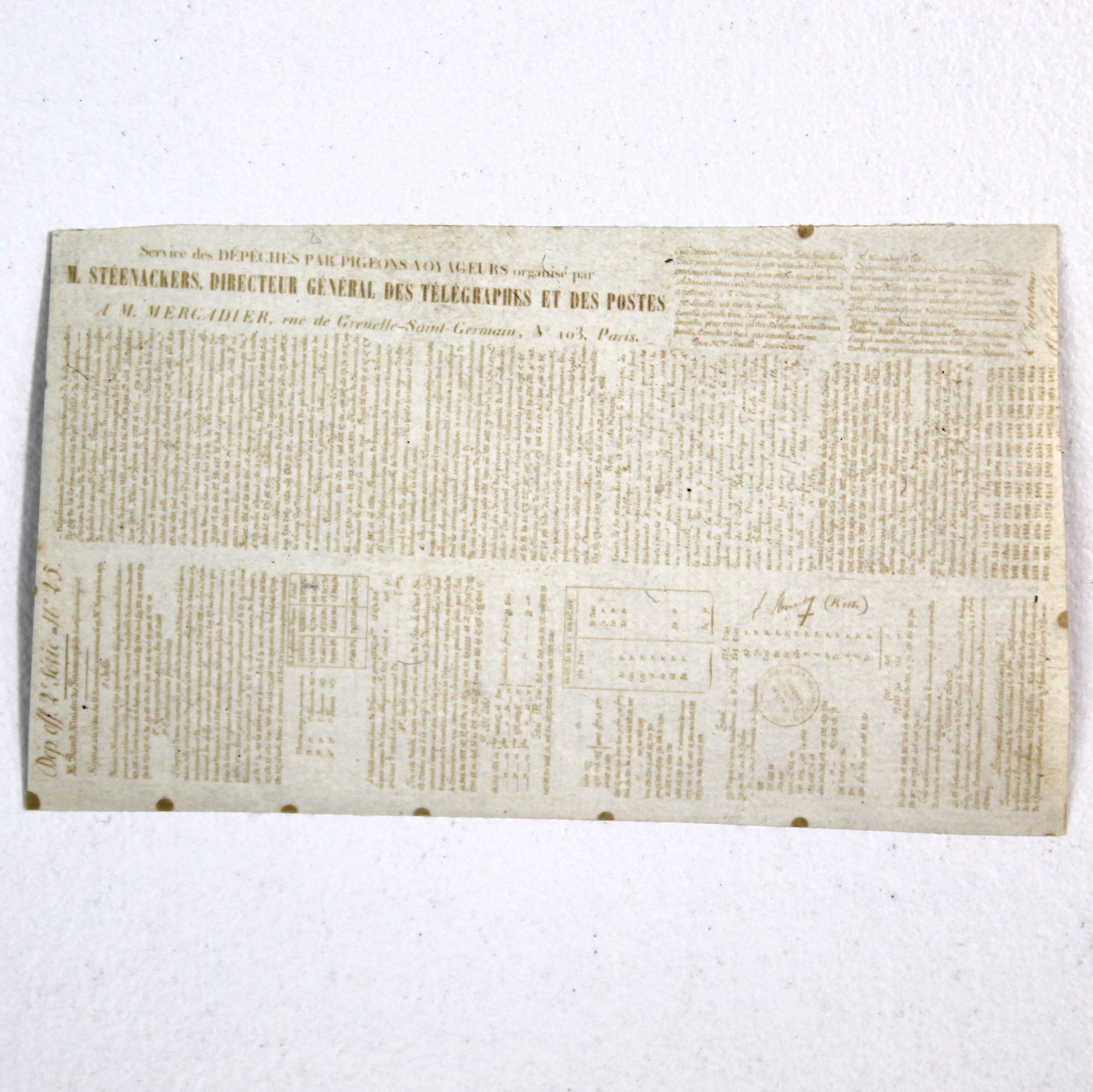 Collection de trois pigeongrammes offrant chacun un spécimen des différentes techniques photographiques utilisées. – Image 6