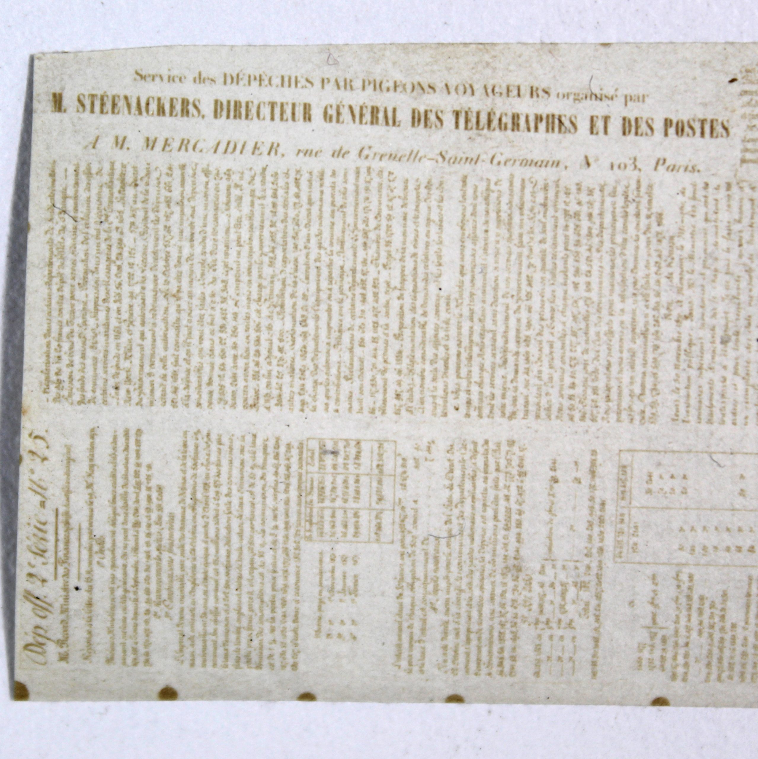 Collection de trois pigeongrammes offrant chacun un spécimen des différentes techniques photographiques utilisées. – Image 7