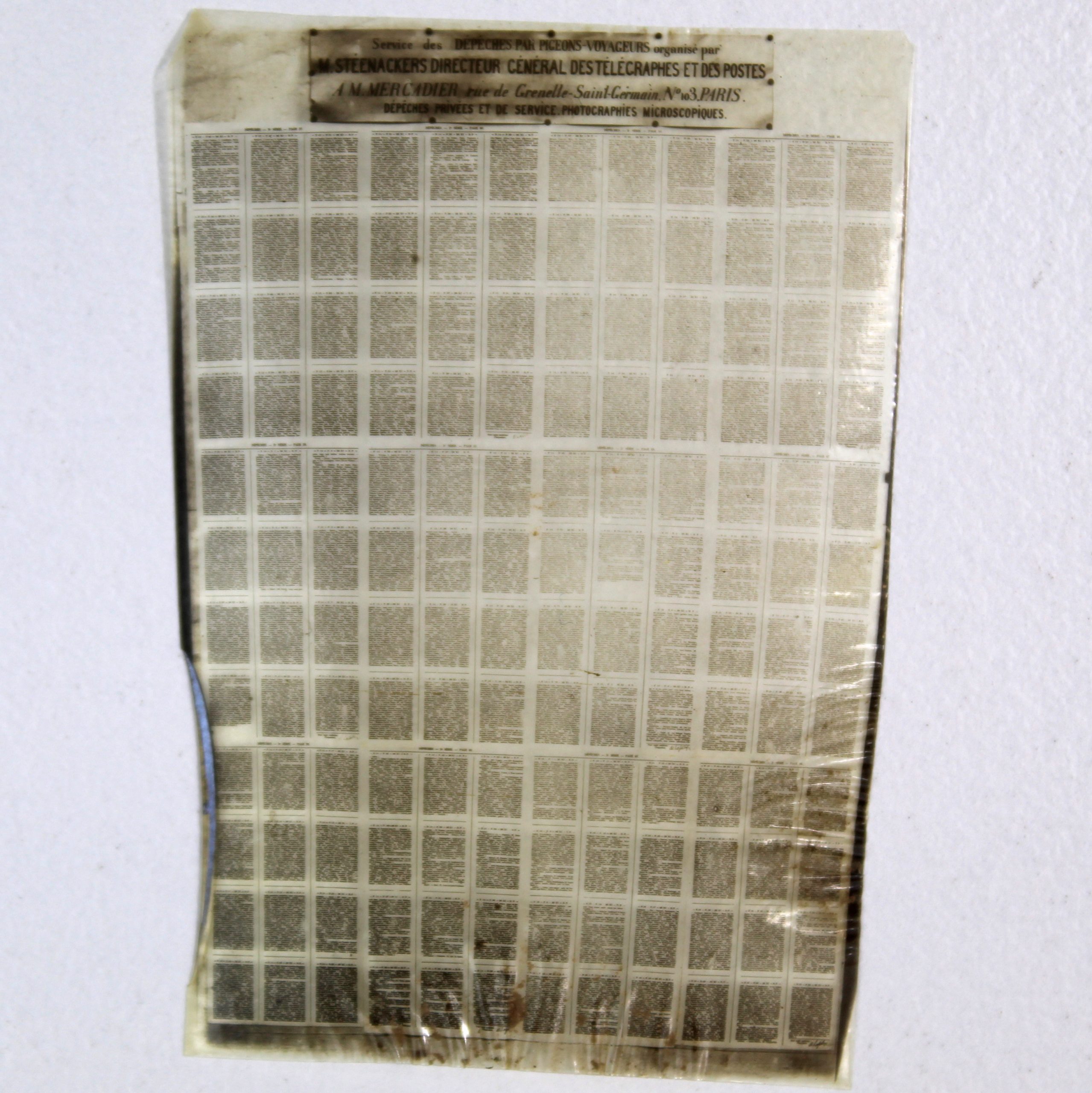 Collection de trois pigeongrammes offrant chacun un spécimen des différentes techniques photographiques utilisées. – Image 12