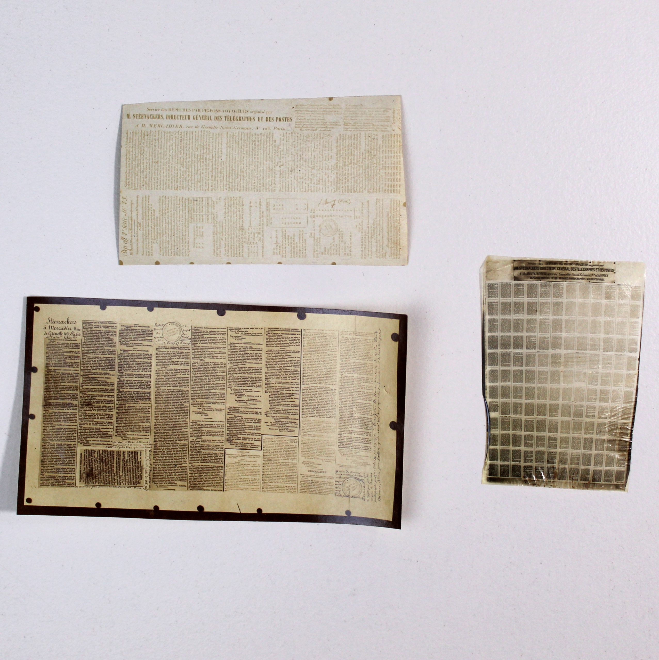 Collection de trois pigeongrammes offrant chacun un spécimen des différentes techniques photographiques utilisées.