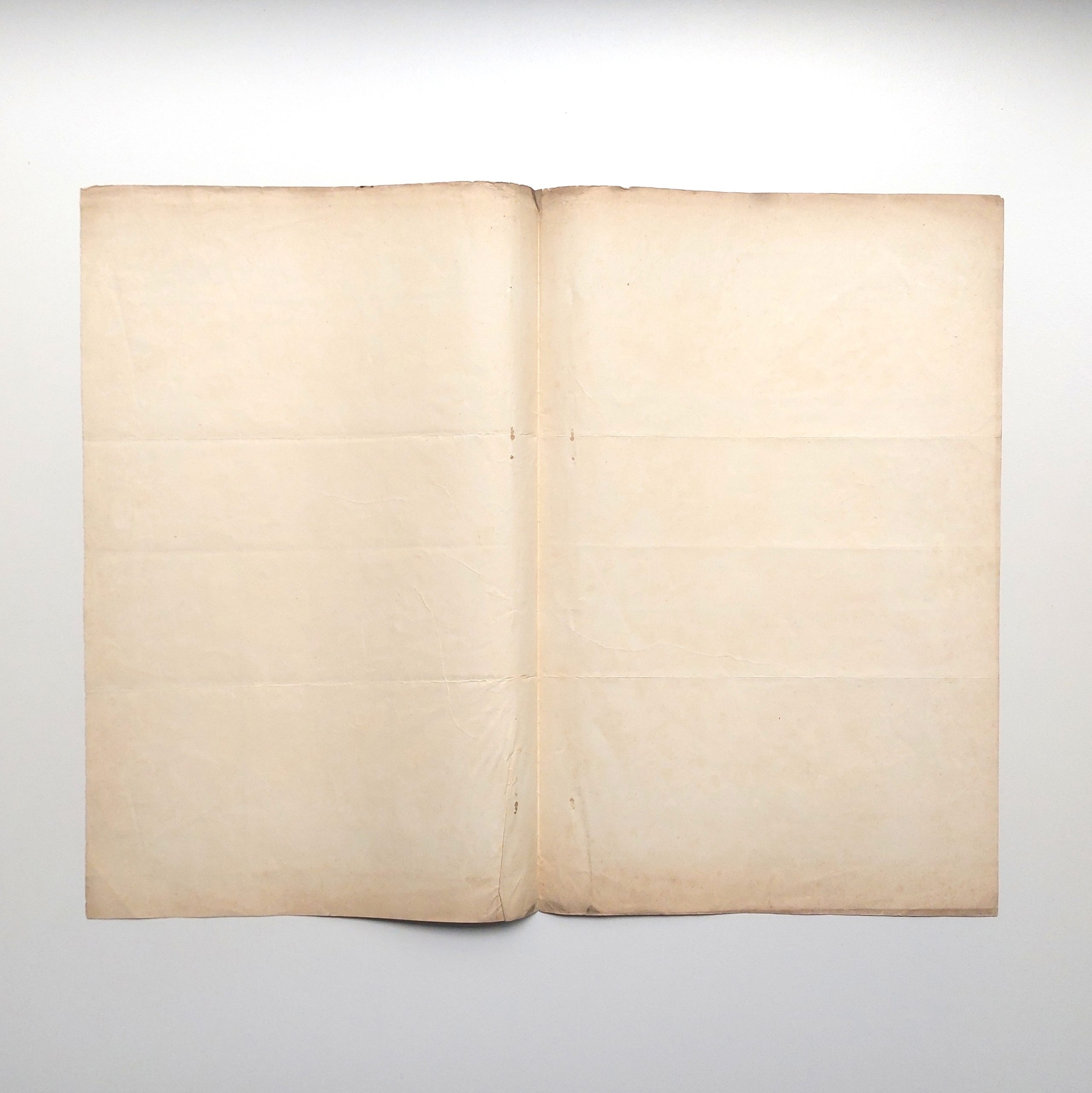 Collection de 7 numéros de l'Écho du cerf-volant, de trois documents relatifs à La France Nationale, et d'un certificat d'ajournement. – Image 18