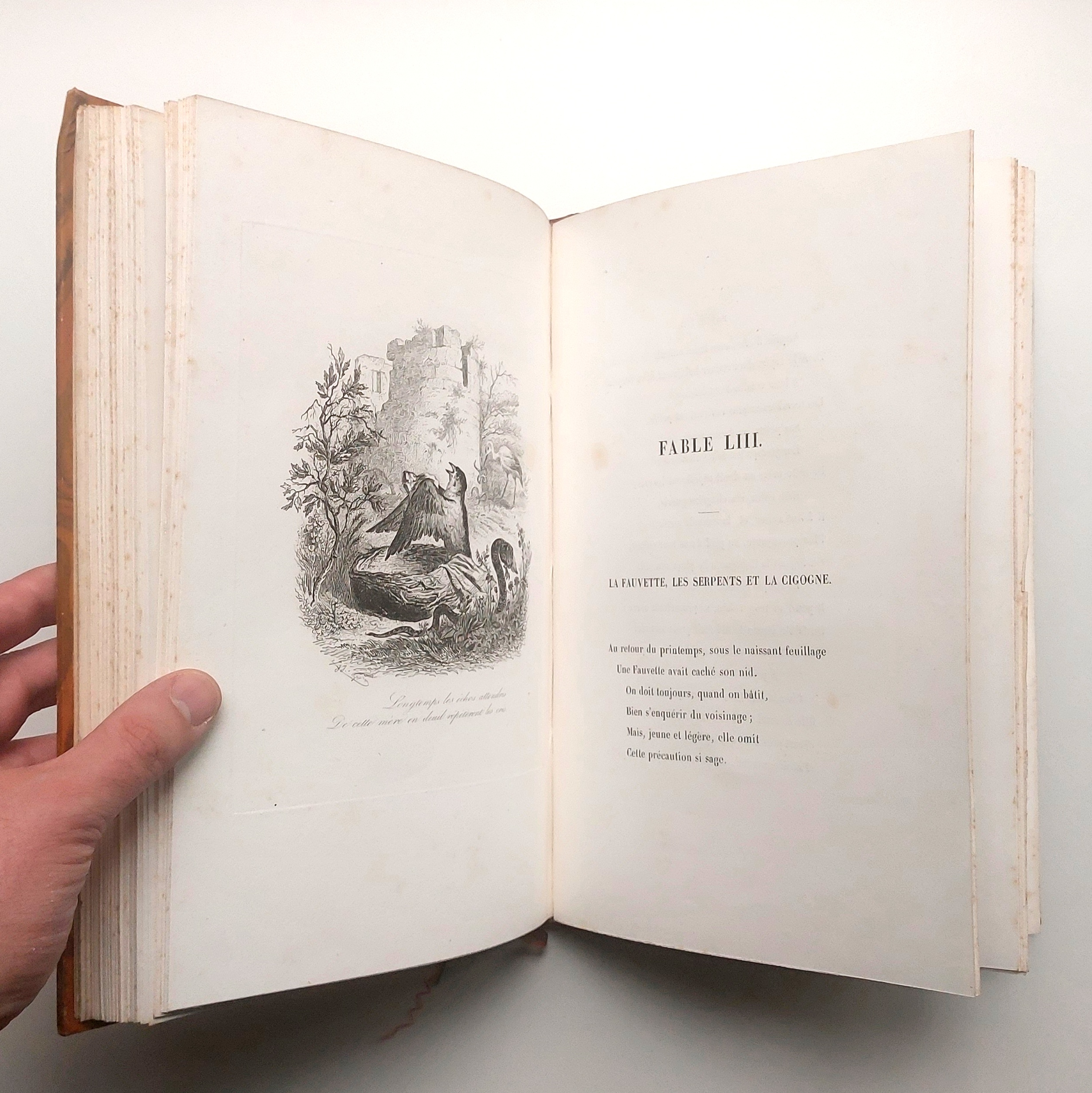 Fables de S. Lavalette illustrées de nouvelles eaux-fortes par Granville. – Image 6