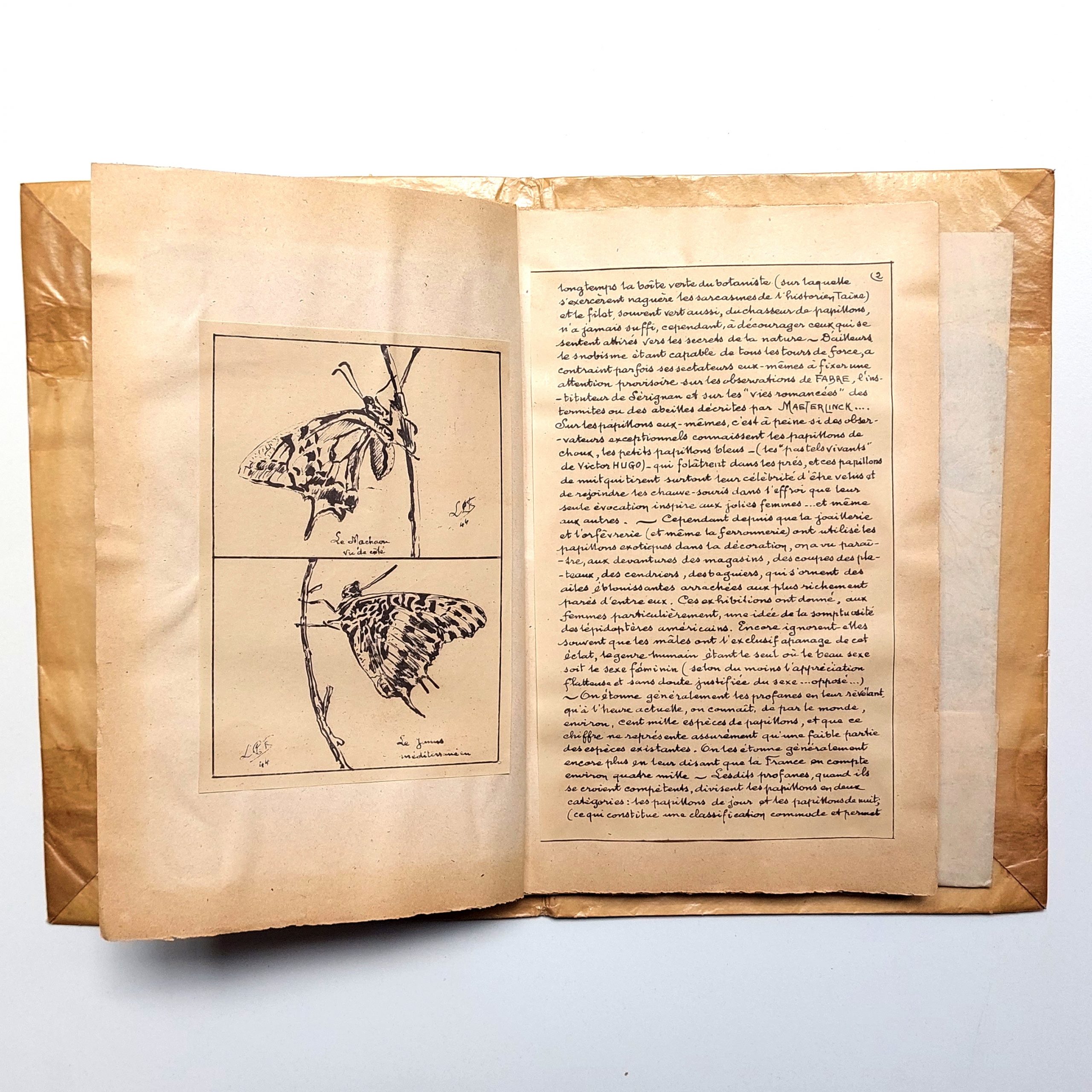 Les Papillons. Petit recueil artistique. Poésies. Curiosités. Dessins. – Image 4