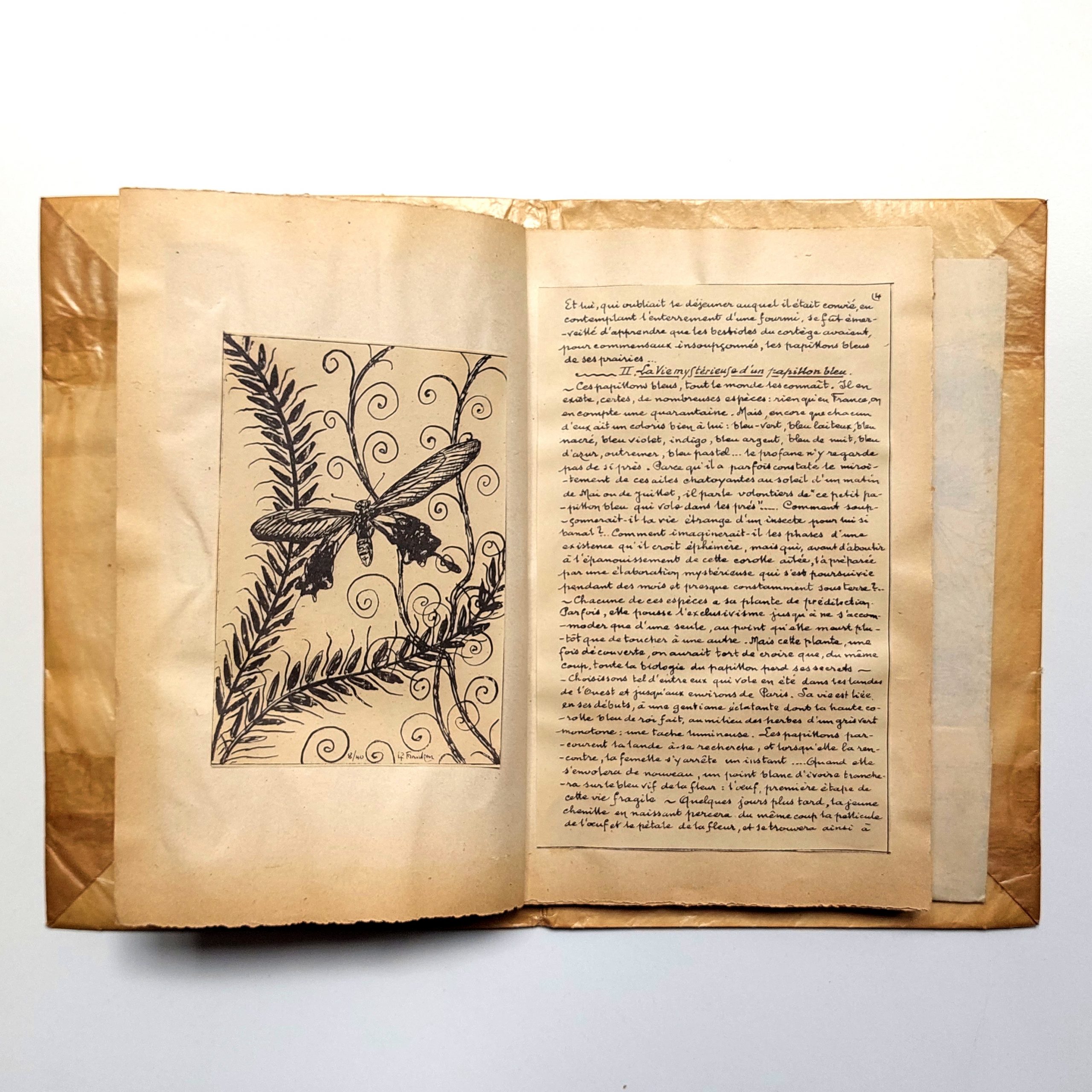 Les Papillons. Petit recueil artistique. Poésies. Curiosités. Dessins. – Image 5