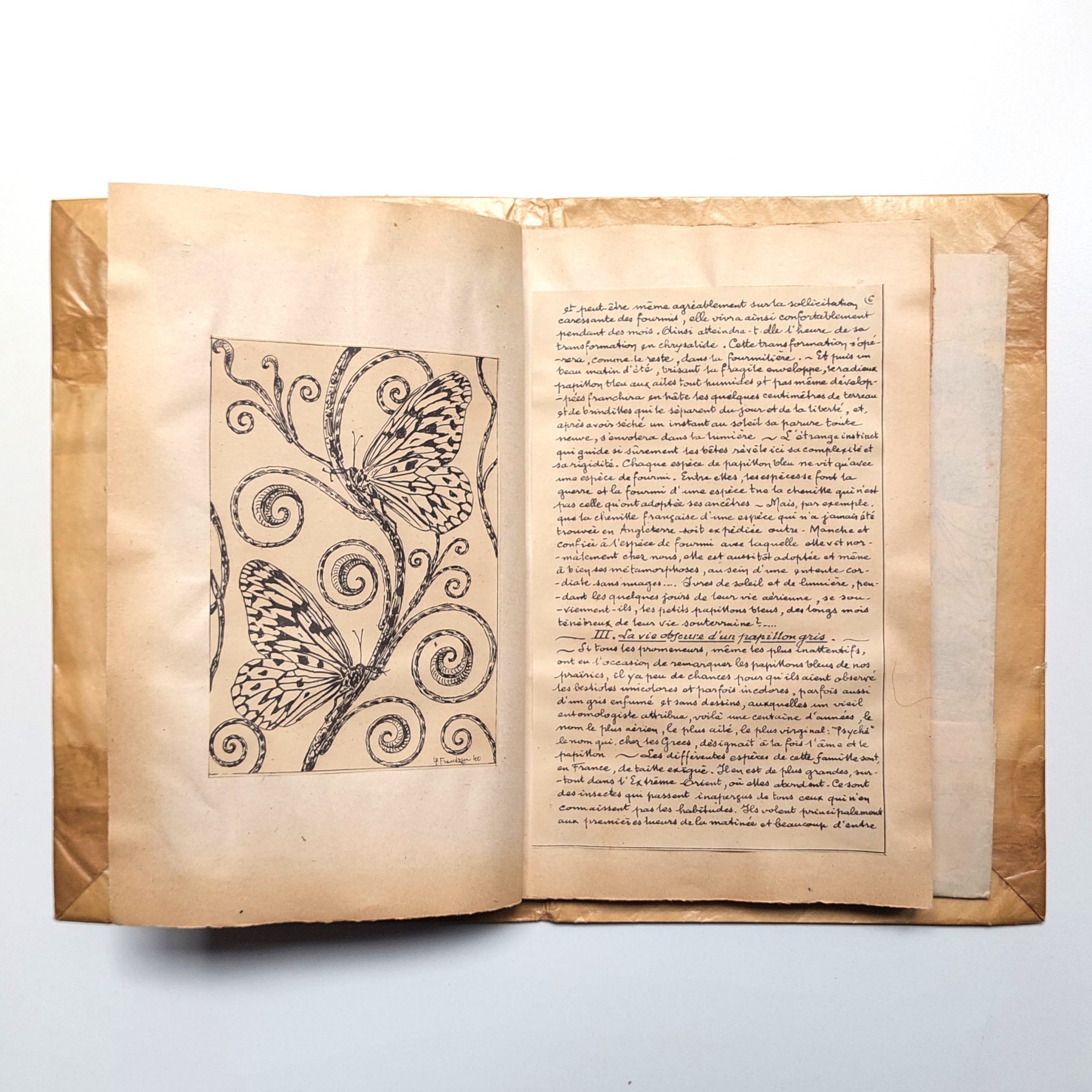 Les Papillons. Petit recueil artistique. Poésies. Curiosités. Dessins.