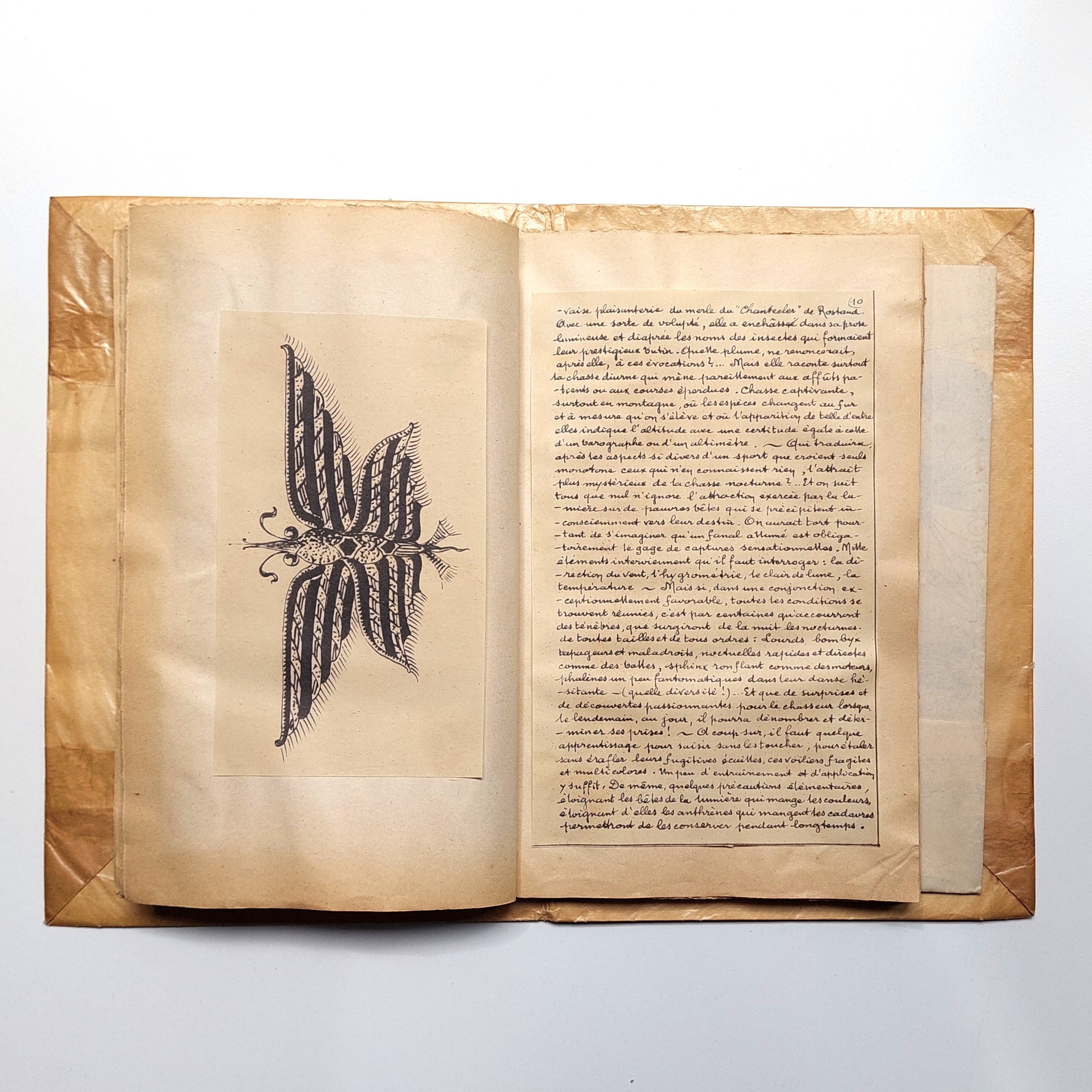Les Papillons. Petit recueil artistique. Poésies. Curiosités. Dessins. – Image 7
