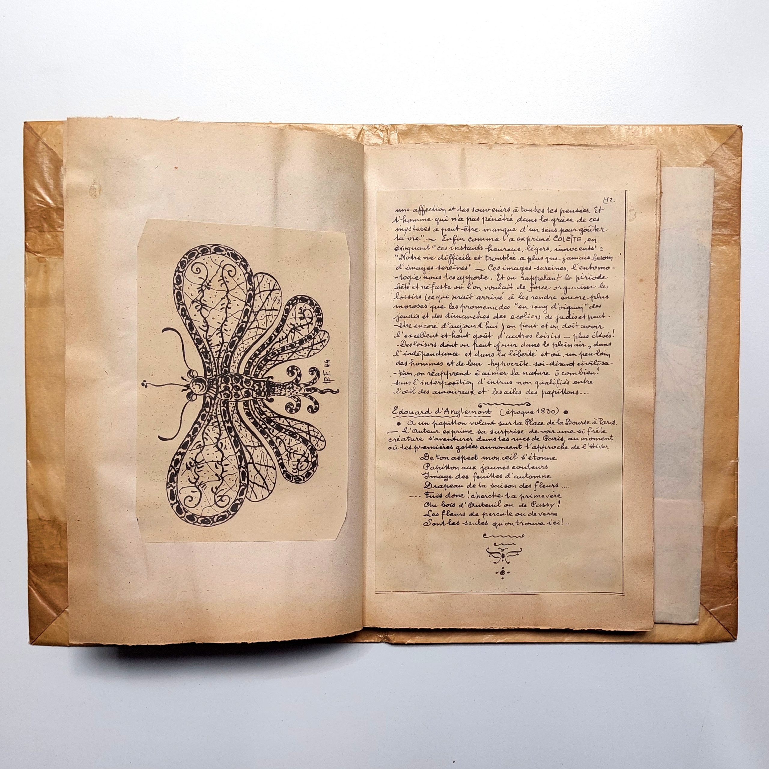 Les Papillons. Petit recueil artistique. Poésies. Curiosités. Dessins. – Image 8